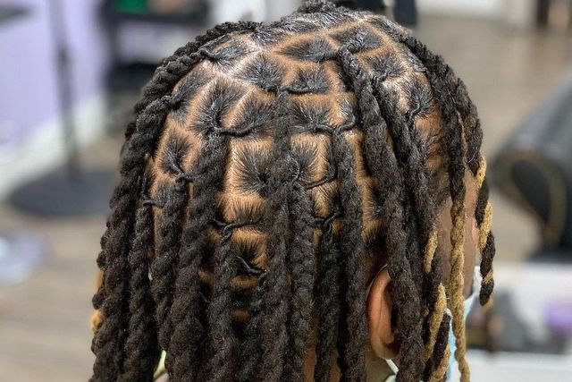 Locs / Twists